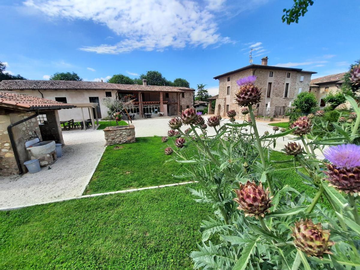 Corte Davini Agriturismo Monzambano Bagian luar foto