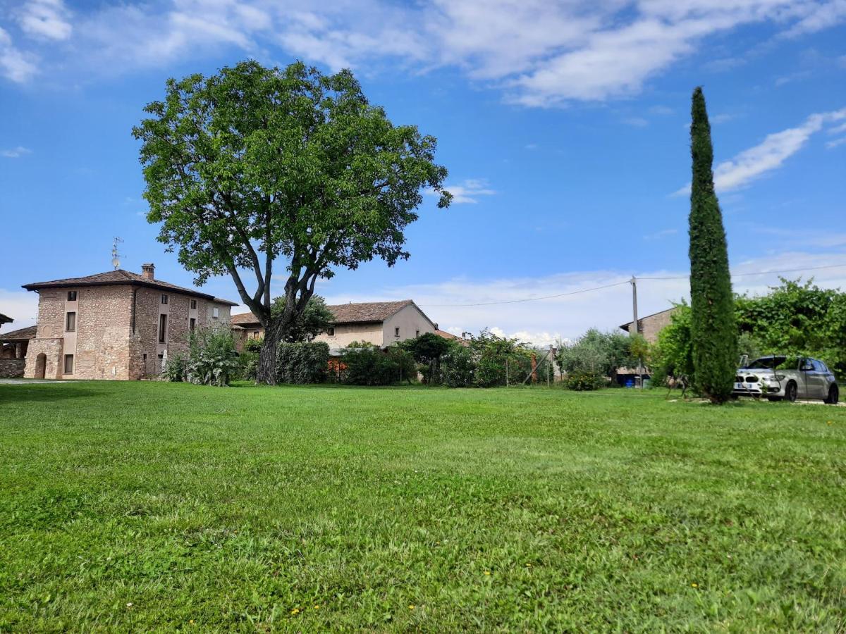 Corte Davini Agriturismo Monzambano Bagian luar foto
