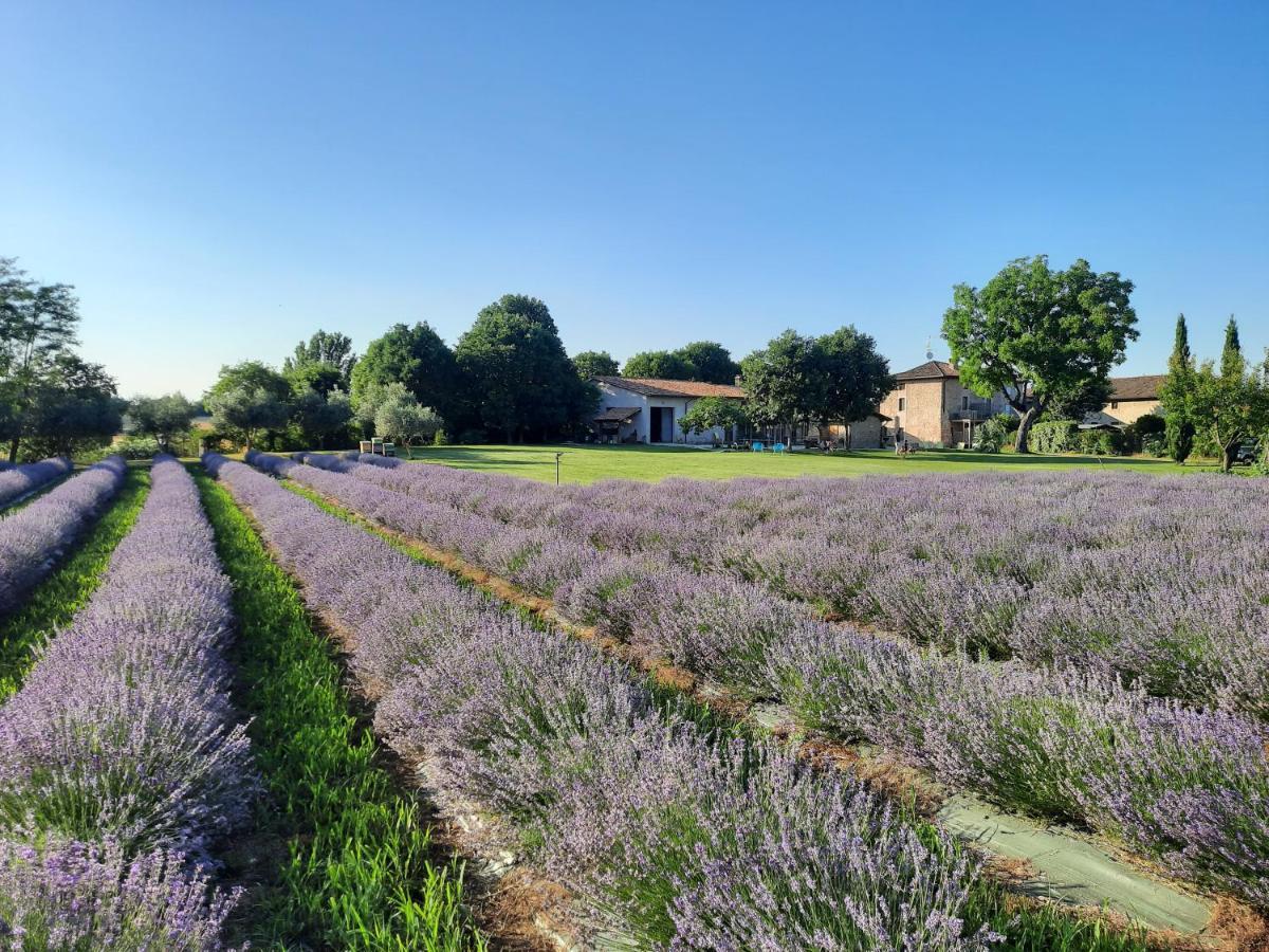 Corte Davini Agriturismo Monzambano Bagian luar foto