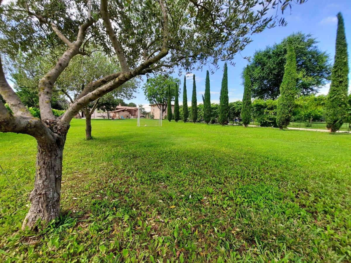 Corte Davini Agriturismo Monzambano Bagian luar foto