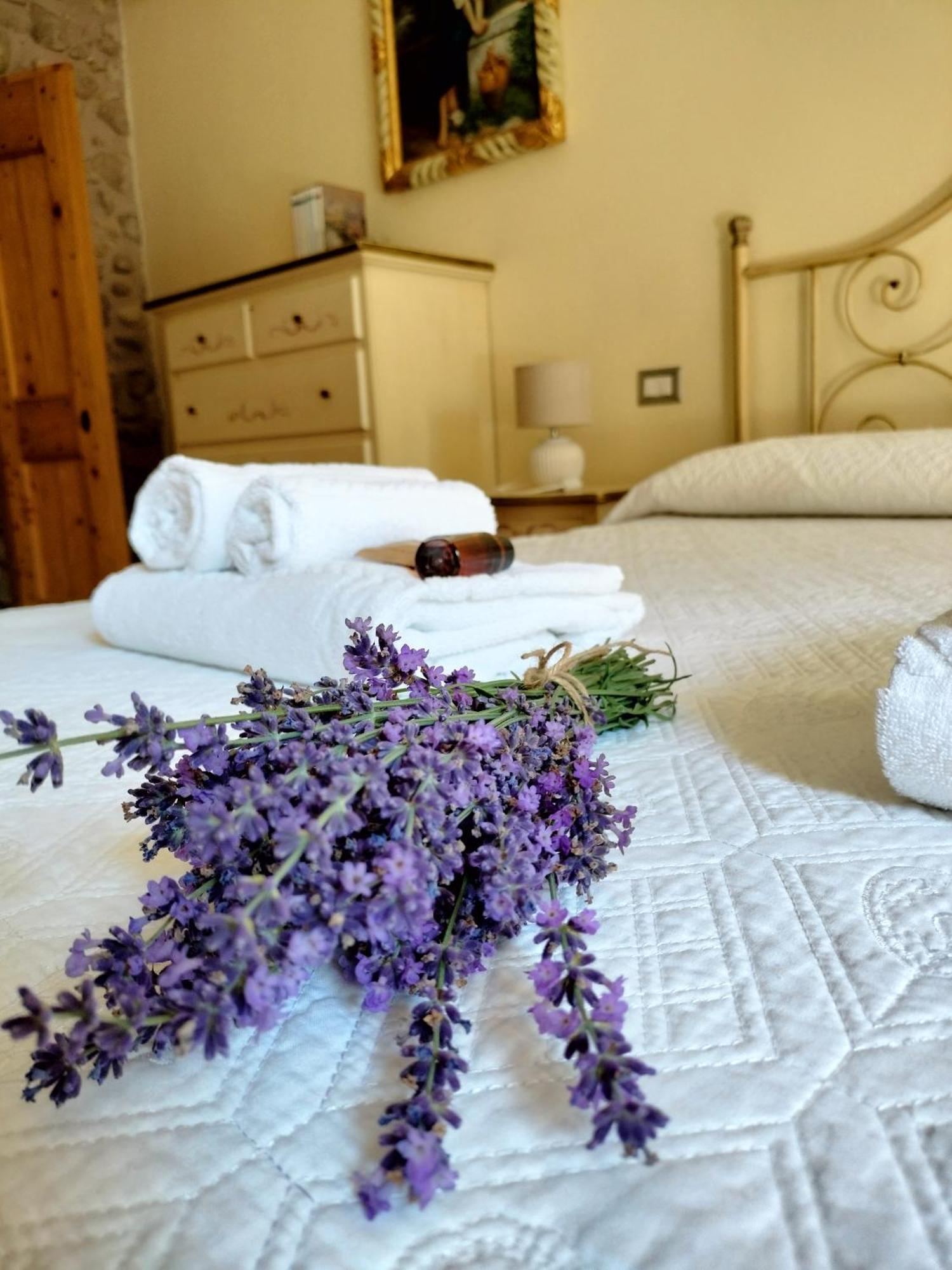 Corte Davini Agriturismo Monzambano Bagian luar foto