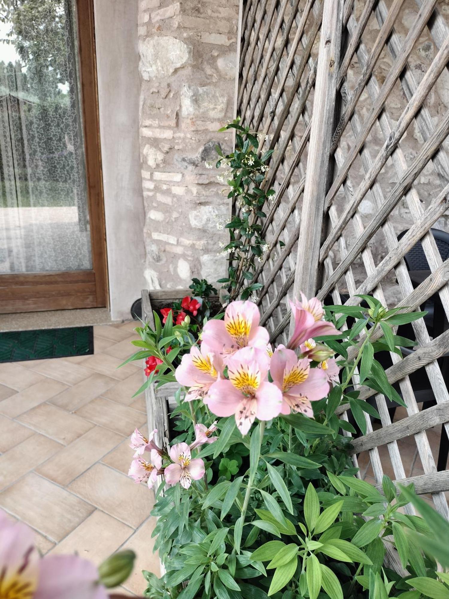Corte Davini Agriturismo Monzambano Bagian luar foto